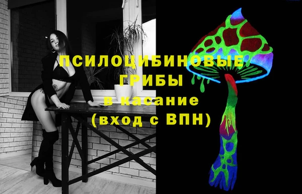 метадон Касимов
