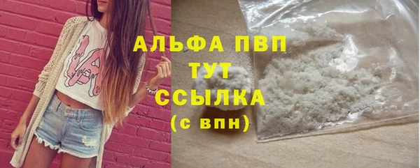 молекула духа Каменногорск