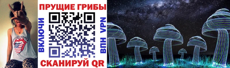 Купить закладки  Грязи  Псилоцибиновые грибы прущие грибы 