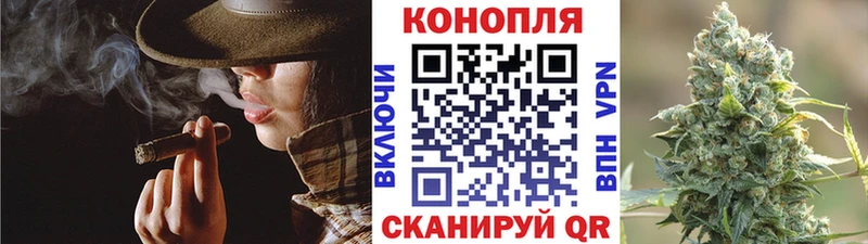Купить где  Грязи  Бошки марихуана ГИДРОПОН 
